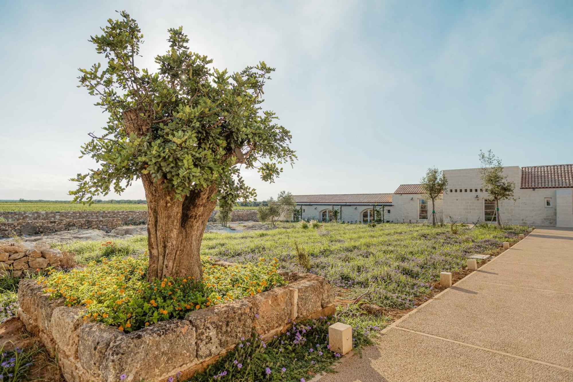 Masseria Vaccaro By Raro Villas - Self Check-In Bríndisi Exterior foto