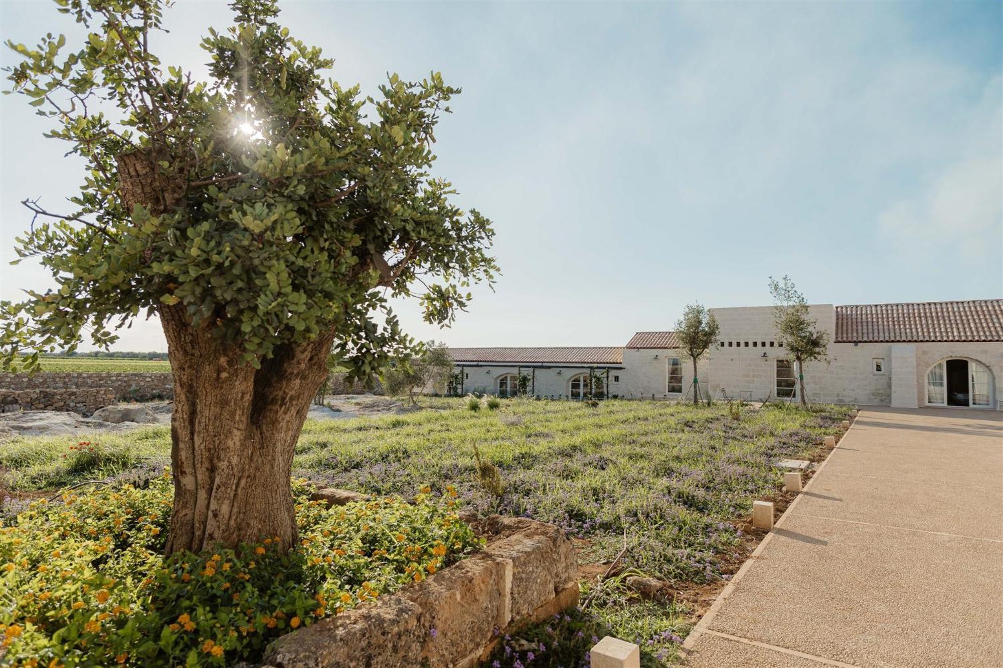 Masseria Vaccaro By Raro Villas - Self Check-In Bríndisi Exterior foto